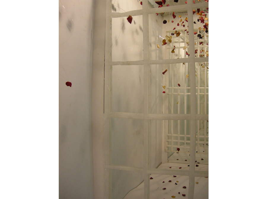 ‘Beautiful Exile’ 2013<br><br>Studio Experiments at Palace Wharf, London, Rose petals, rice paper, transparent line & mirrors, 2m x 2m x 1m