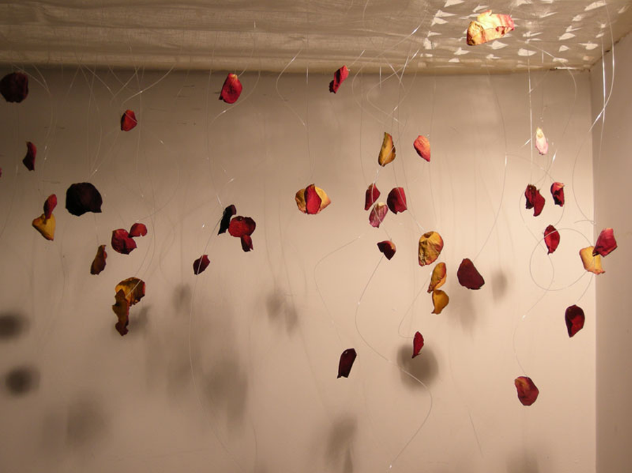‘Beautiful Exile’ 2013<br><br>Studio Experiments at Palace Wharf, London, Rose petals, rice paper, transparent line & mirrors, 2m x 2m x 1m